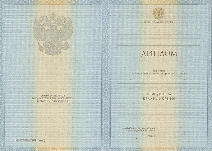 Диплом переводчика 2009-2010 года